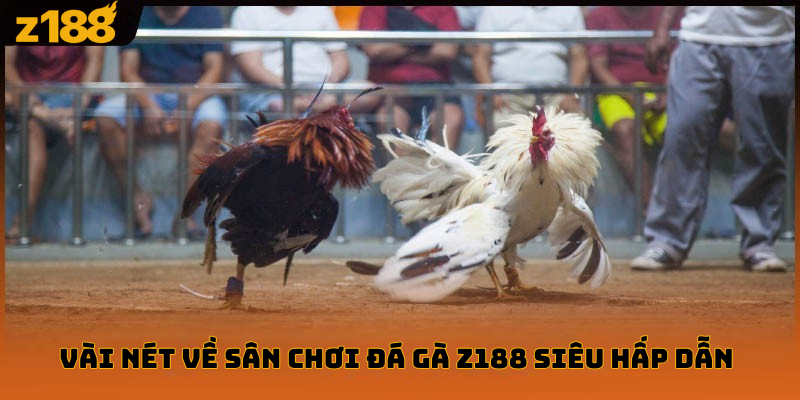 Đá gà z188